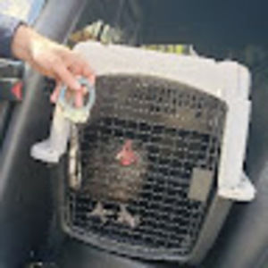 Meet your Posher, The